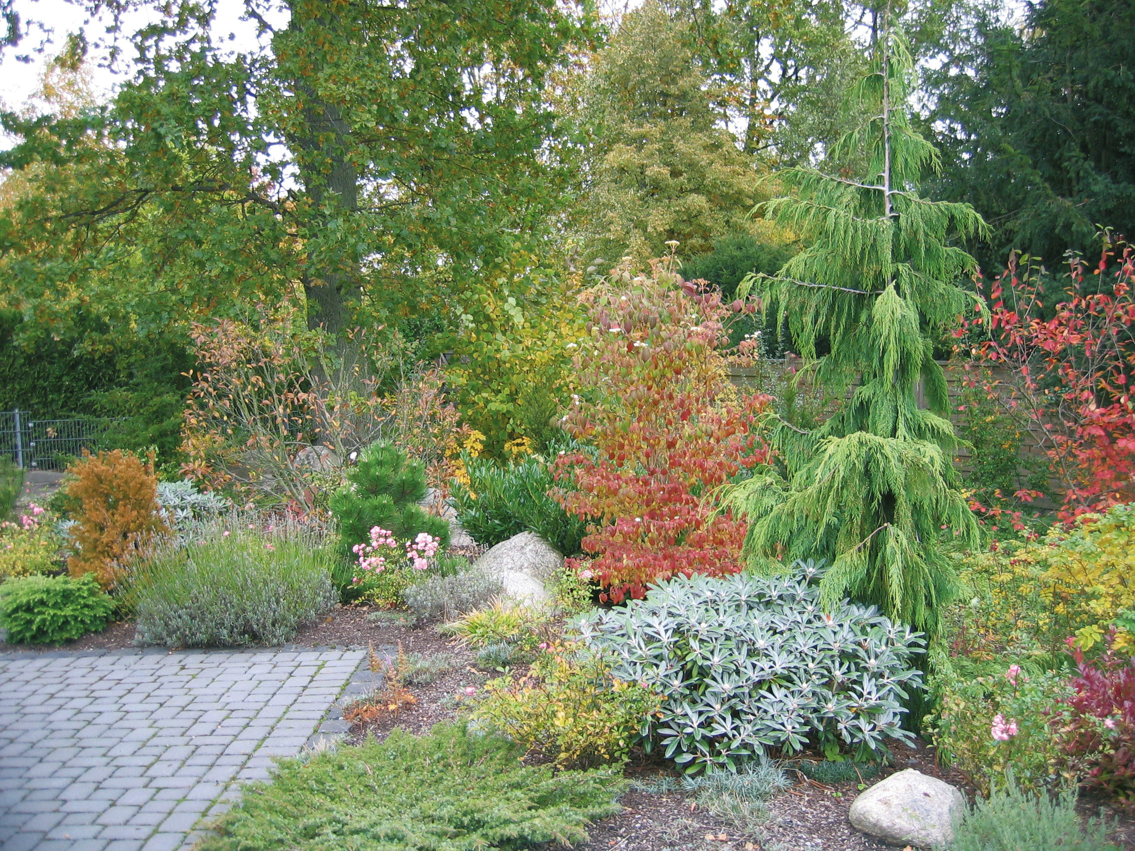 beete+mauern.3_gartenromes