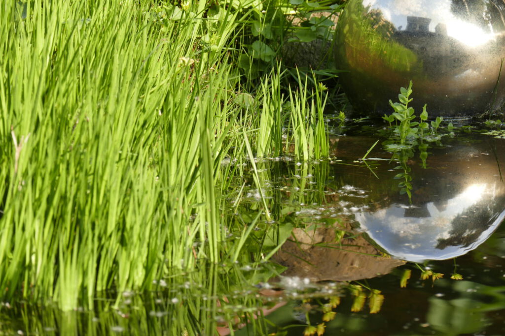 garten+wasser.1_ED_1060276