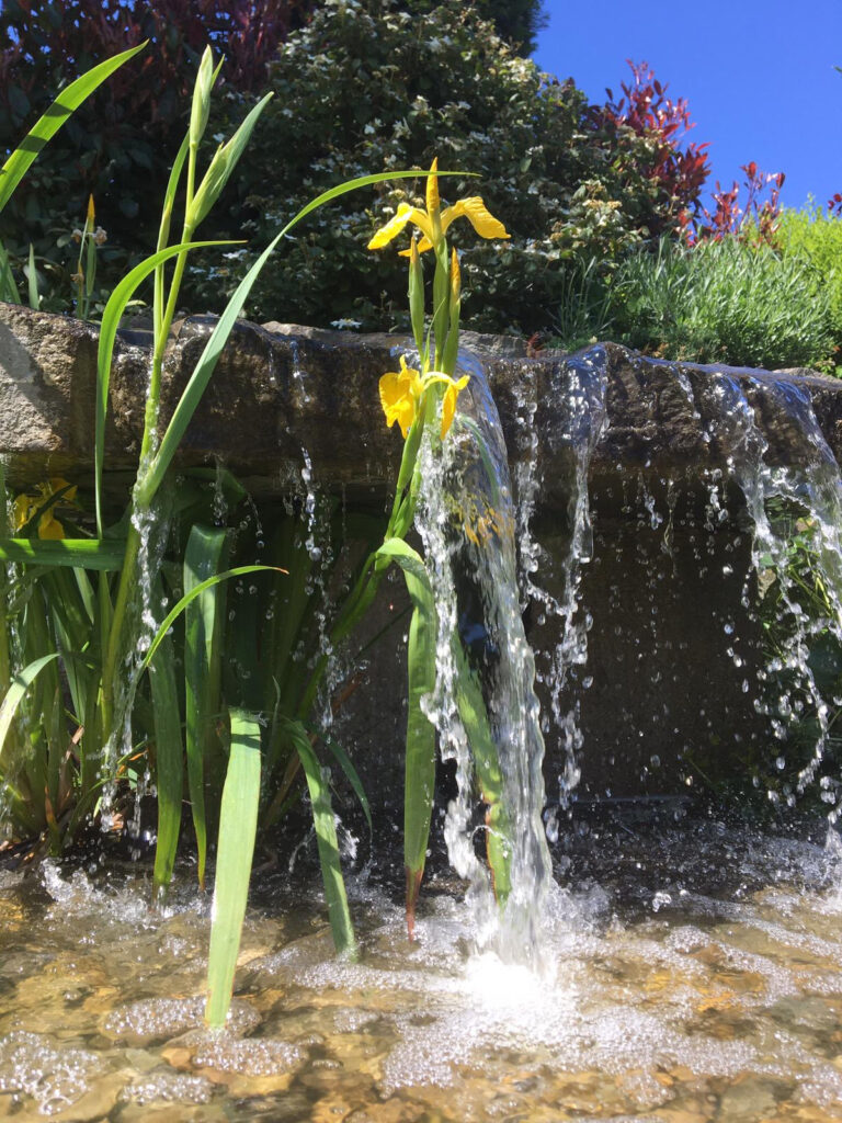 Garten + Wasser