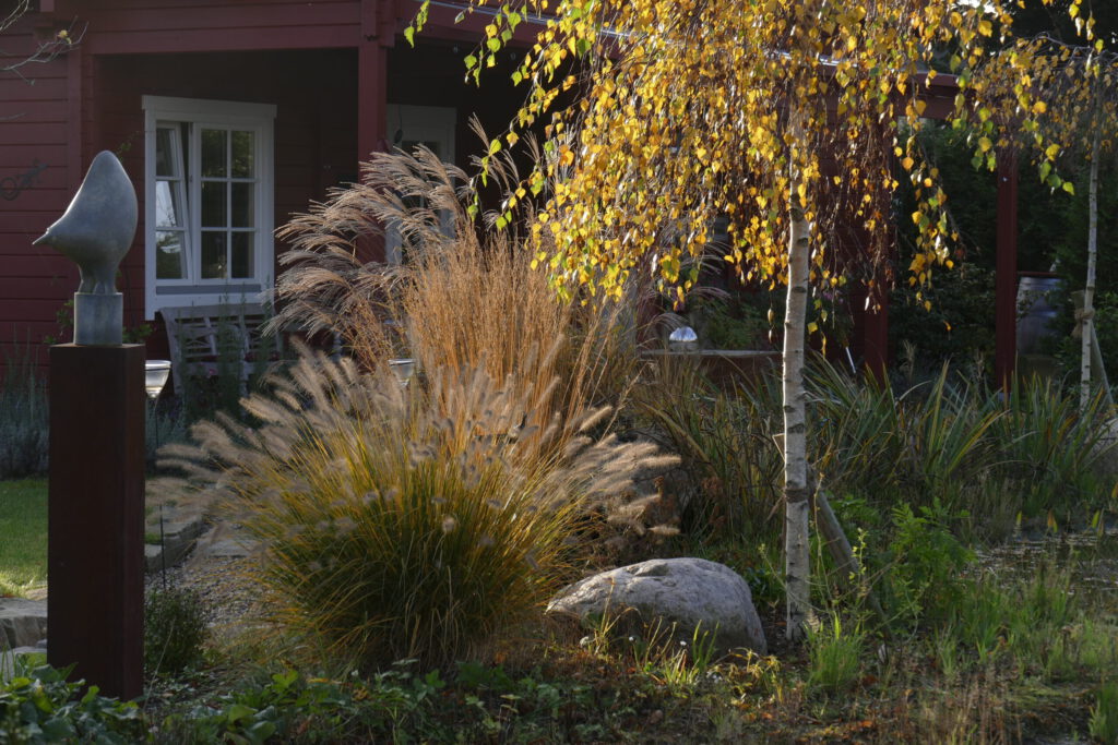 landschaftsgarten.13_ED_1050933